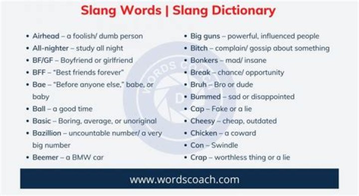 What slang words are in the dictionary?