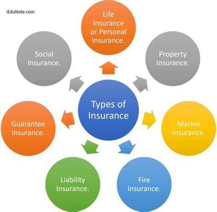 What type of insurance is blue options?