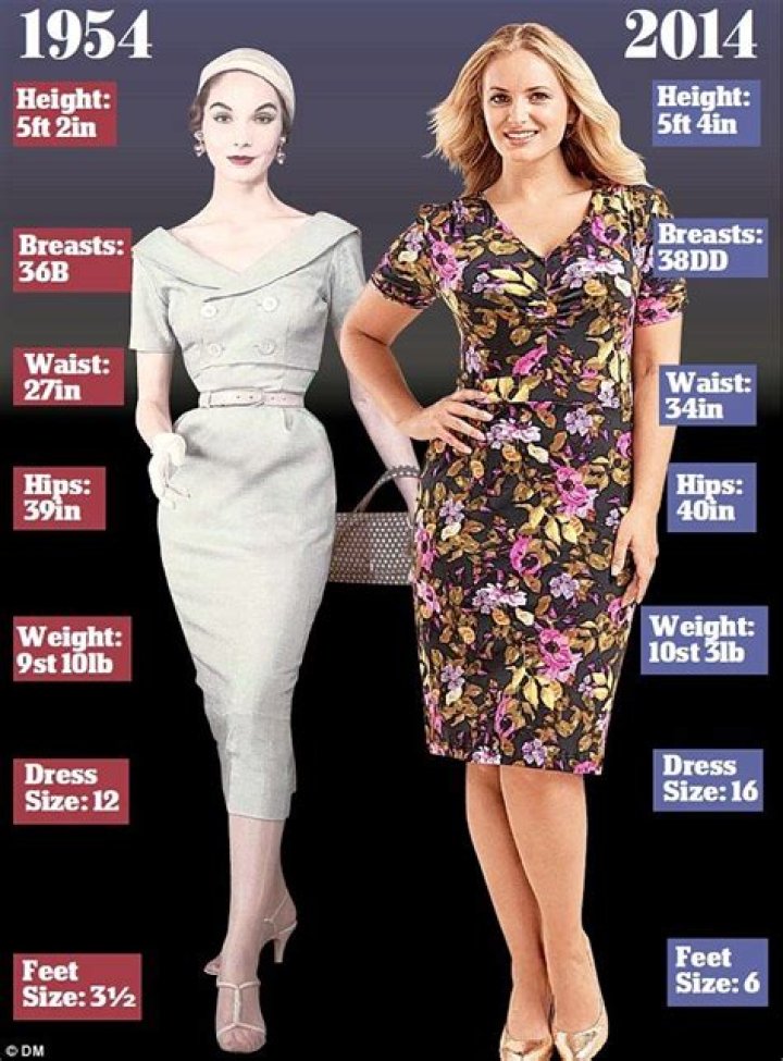 What was the average size of a woman in 1950?