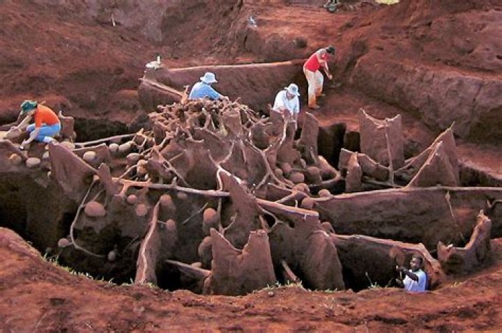 When you pour concrete down a massive ant colony?