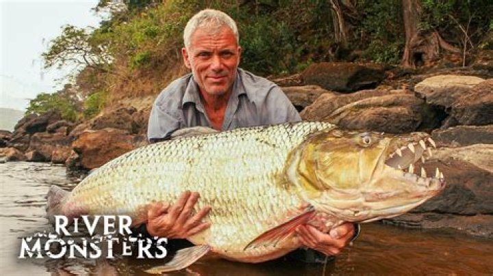 Where can I watch all seasons of river monsters?