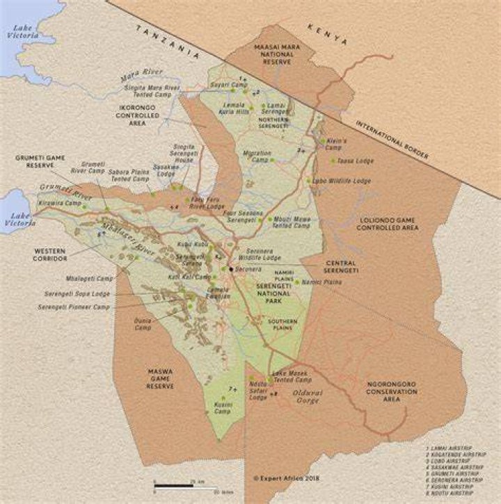 Where is grumeti located?