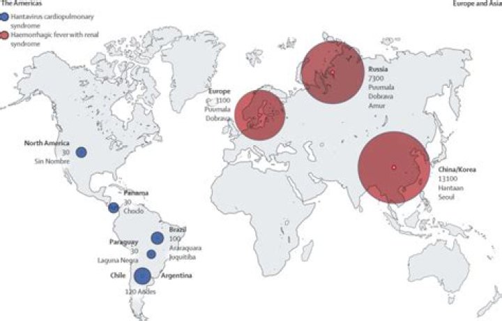 Where is hantavirus most commonly found?