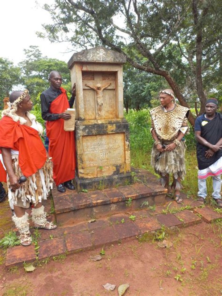 Where is the Ngoni people come from?