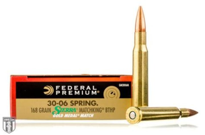 Which grain of 30 06 bullet is best for long range shooting?