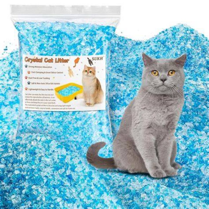 Which Silica Cat Litter is best?