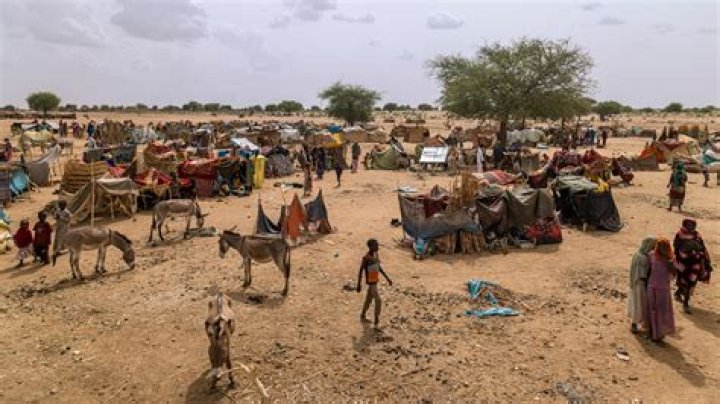 Who are the victims of the violence in Darfur?
