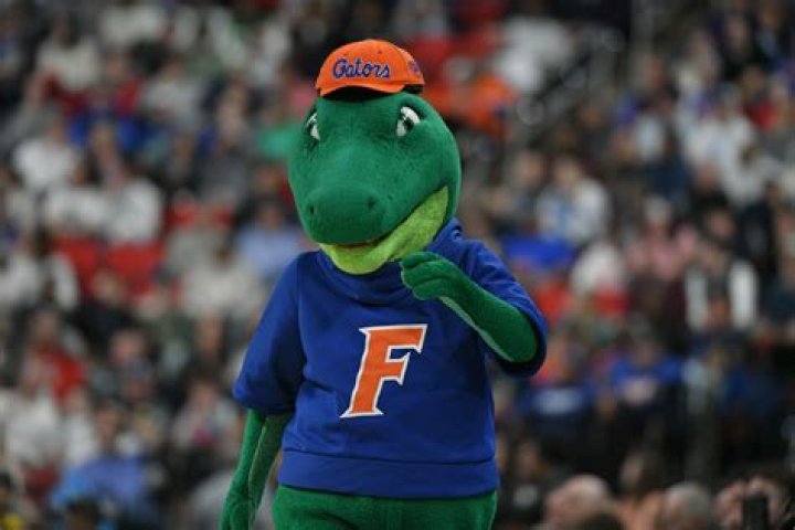 Who won GA FL game today?