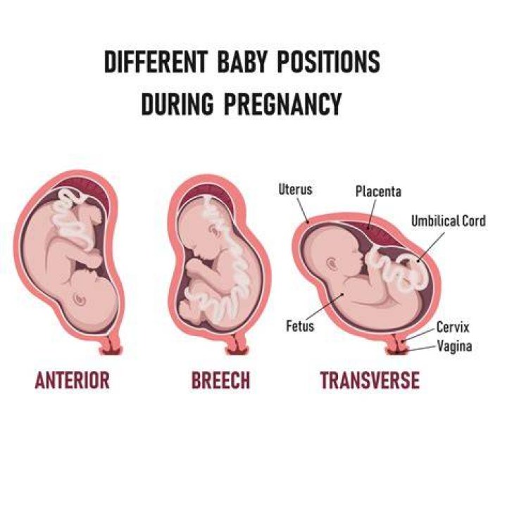 Why does the baby stay on the left side?